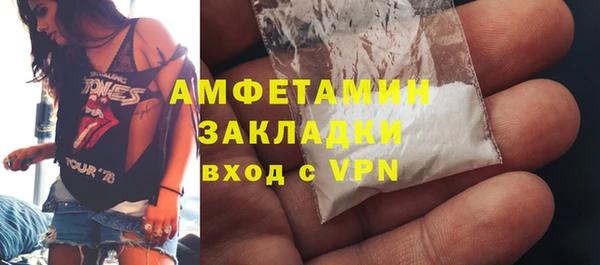 амф Горняк