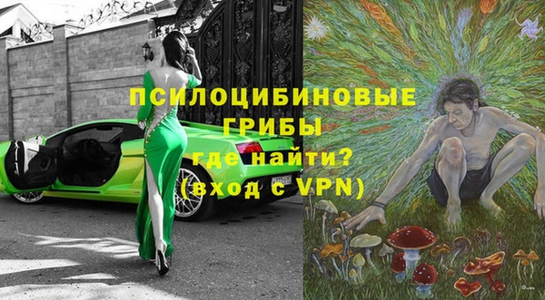сатива Горно-Алтайск