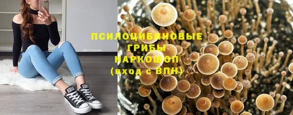 амф Горняк