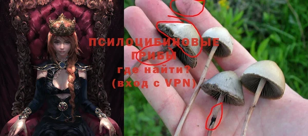 ешки Горнозаводск