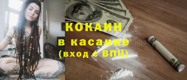амф Горняк