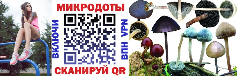 это Telegram  Зуевка  MEGA ONION  Псилоцибиновые грибы мицелий  сколько стоит 